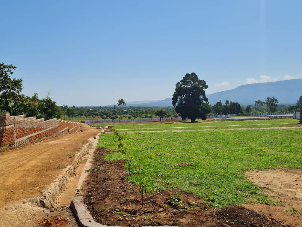 We have a vast land to produce tones of Coffee