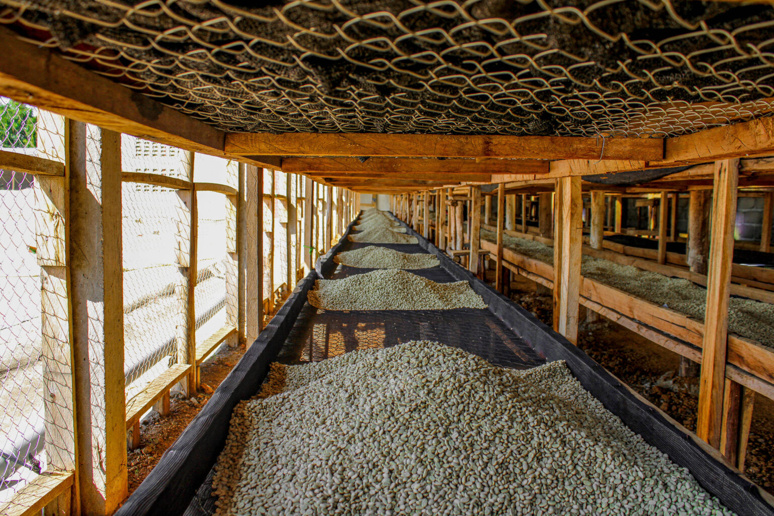 Our Products The Coffee Yard TCY