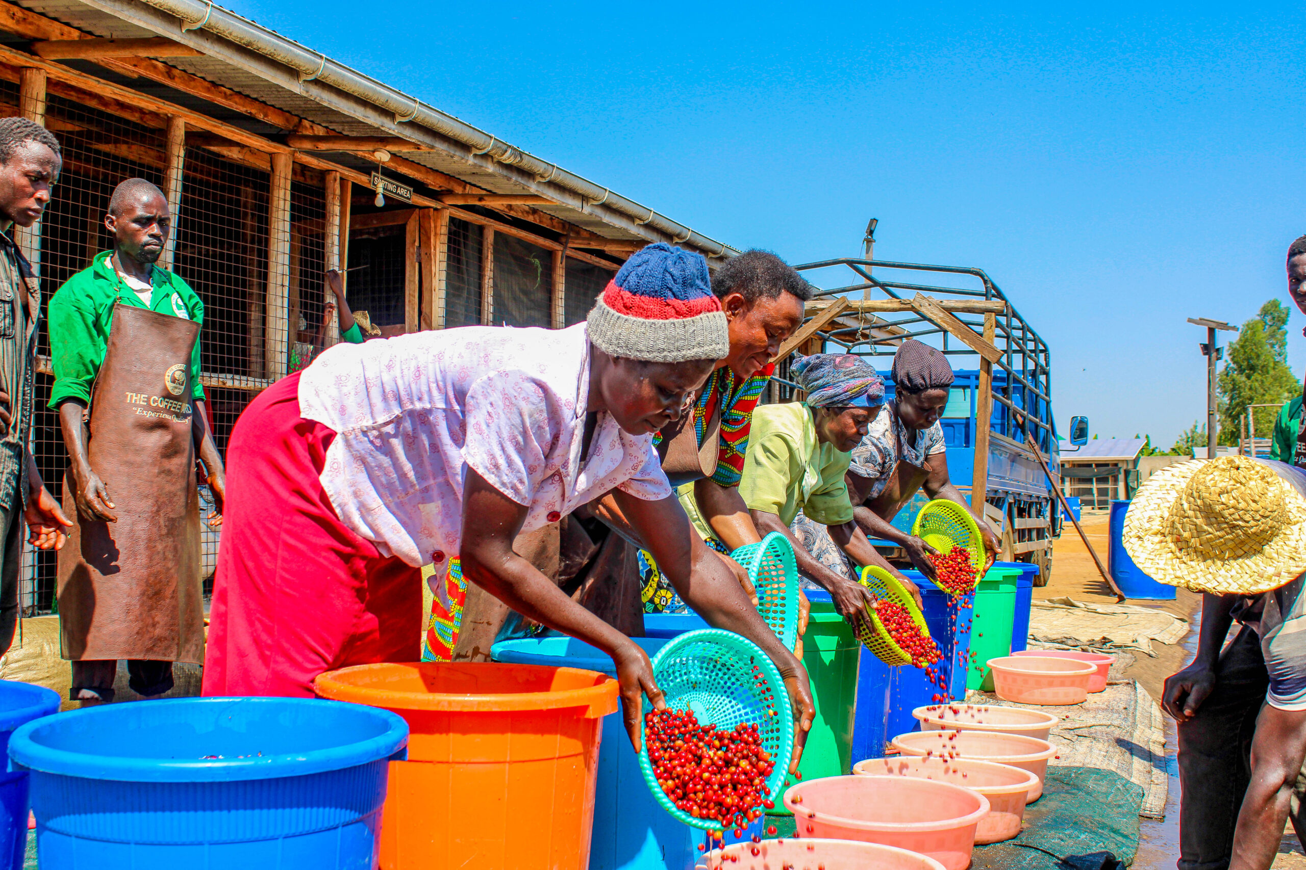 About The Coffee Yard TCY